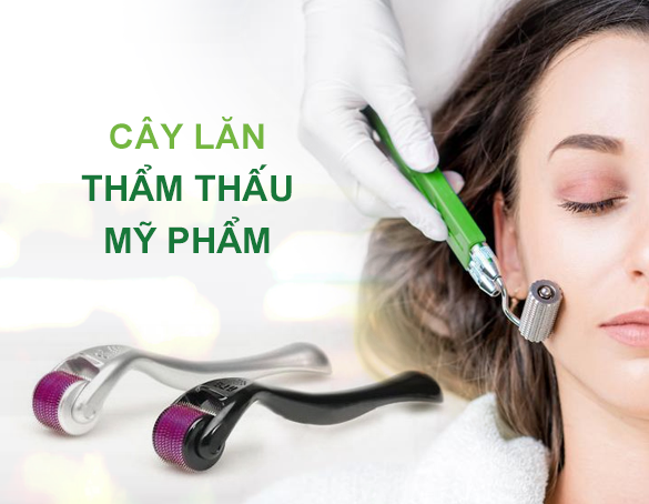 Cây Lăn Thẩm Thấu Mỹ Phẩm